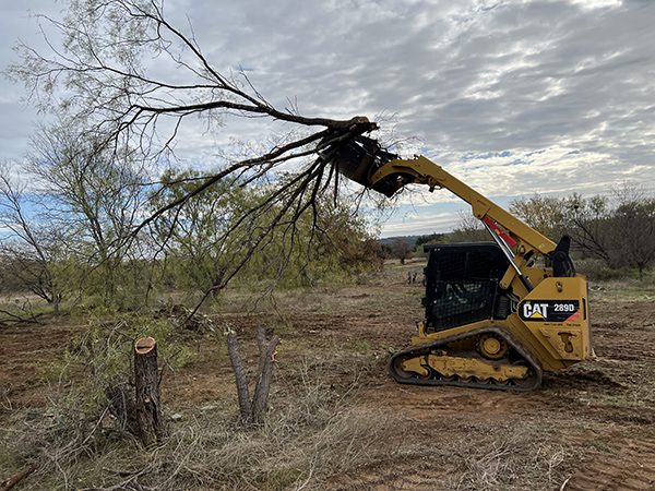 Land Clearing by Lakeside Developing