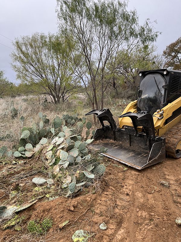 Land Clearing by Lakeside Developing