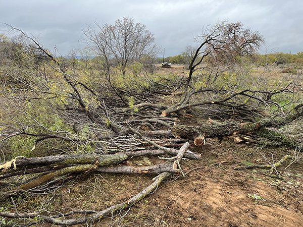 Land Clearing by Lakeside Developing