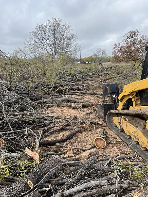 Land Clearing by Lakeside Developing