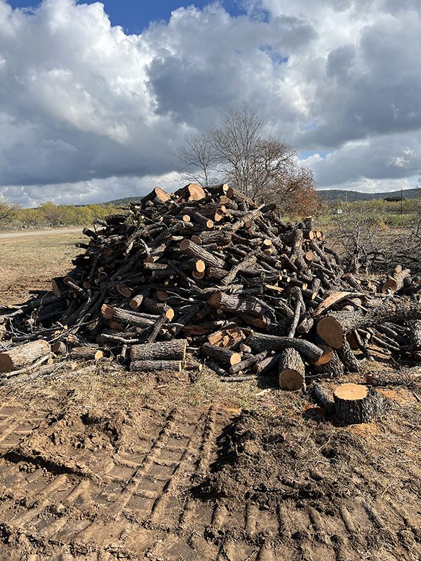 Land Clearing by Lakeside Developing