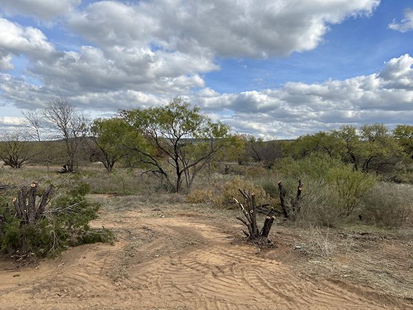 Land Clearing by Lakeside Developing