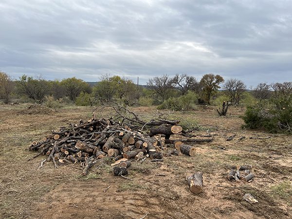 Land Clearing by Lakeside Developing