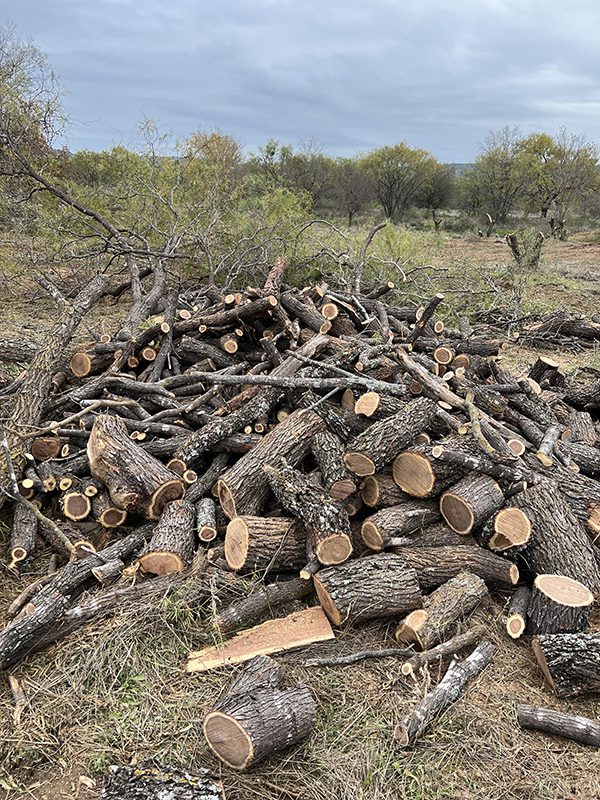 Land Clearing by Lakeside Developing