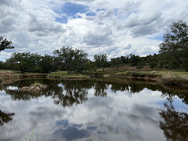 Ponds by Lakeside Developing